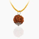 6 Mukhi Rudraksha Pendant, 6 मुखी रुद्राक्ष पेंडेंट