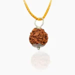 6 Mukhi Rudraksha Pendant, 6 मुखी रुद्राक्ष पेंडेंट