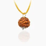 6 Mukhi Rudraksha Pendant, 6 मुखी रुद्राक्ष पेंडेंट