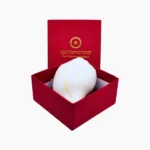 Blowing Conch (शंख)
