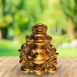 Frog Nine Direction, Fengshui Frog Direction, Frog Direction
