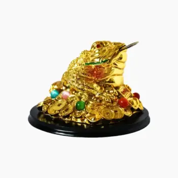 Golden Frog (गोल्डन मेंढक)