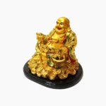 Laughing Buddha With Coin (लाफिंग बुद्धा)