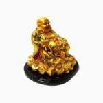 Laughing Buddha With Coin (लाफिंग बुद्धा)
