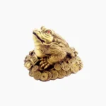 Lucky Frog (लक्की मेंडक)