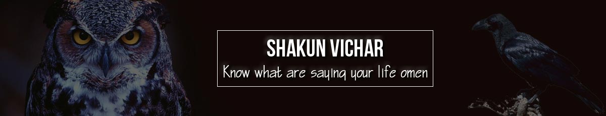 Shakun Vichar, शकुन विचार