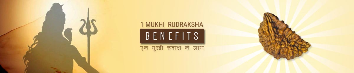 1 Mukhi Rudraksha Benefits, Rudraksha एक मुखी रूद्राक्ष