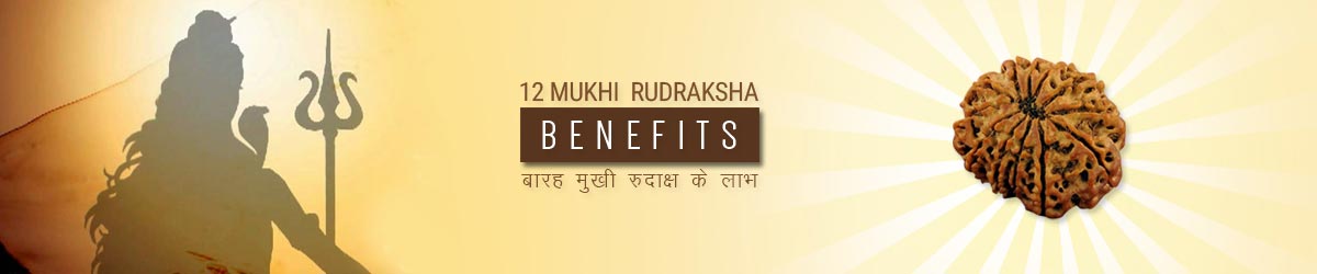 About Rudraksha, बारह मुखी रुद्राक्ष लाभ