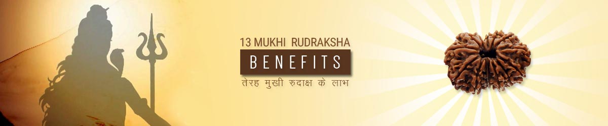 About Rudraksha, तेरह मुखी रुद्राक्ष लाभ