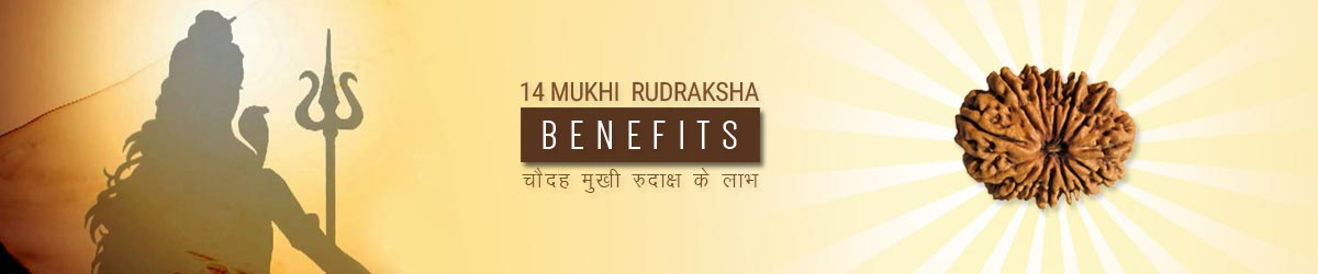 About Rudraksha, चौदह मुखी रुद्राक्ष लाभ
