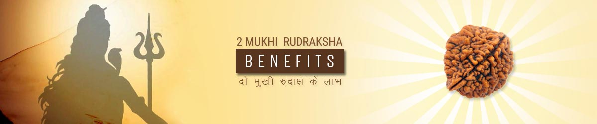 About Rudraksha, दो मुखी रुद्राक्ष लाभ
