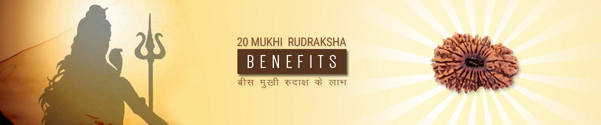 About Rudraksha, बीस मुखी रुद्राक्ष लाभ