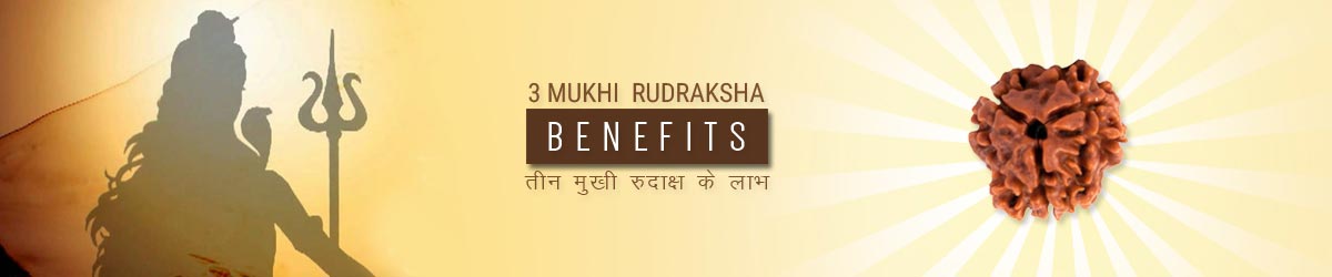 About Rudraksha, तीन मुखी रुद्राक्ष लाभ