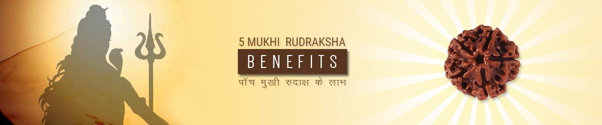 About Rudraksha, पांच मुखी रुद्राक्ष के लाभ