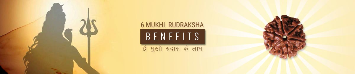 About Rudraksha, छ: मुखी रुद्राक्ष लाभ