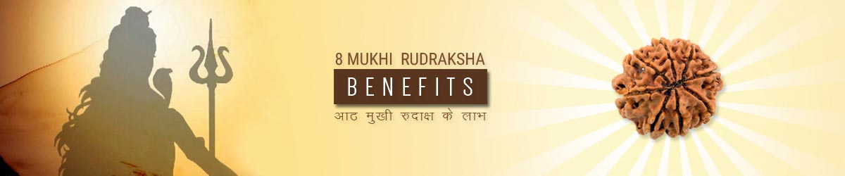 About Rudraksha, आठ मुखी रुद्राक्ष लाभ