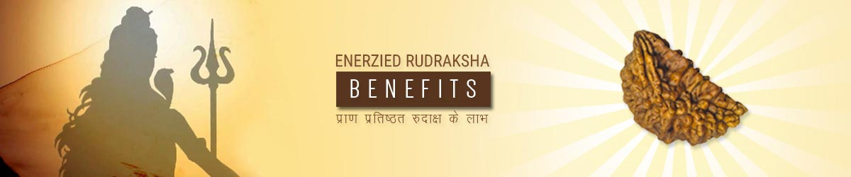 About Rudraksha, रुद्राक्ष परिचय