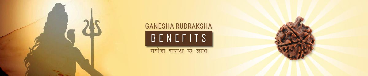 Ganesh Rudraksha Benefits, गणेश रुद्राक्ष