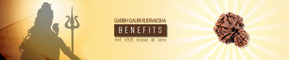 Gauri Shankar Rudraksha Benefits, गौरी शंकर रुद्राक्ष