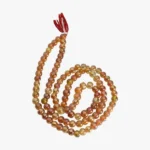 Apsara Mala (अप्सरा माला)