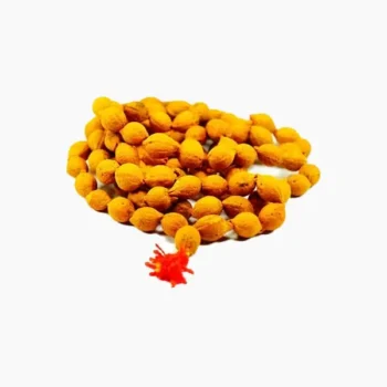 Putrajeevi Mala (पुत्रजिवी माला)