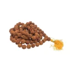 Rudraksha Mala (रुद्राक्ष माला)