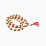 Rudraksha Pearl Mala (रुद्राक्ष मोती माला)