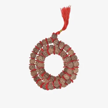 Rudraksha Kantha Mala (रुद्राक्ष कंठा माला)