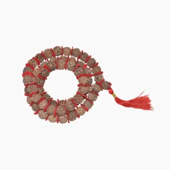 Rudraksha Kantha Mala (रुद्राक्ष कंठा माला)