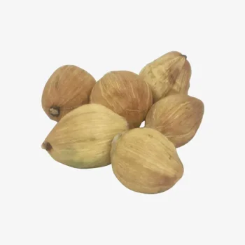 Laghu Nariyal (लघु नारियल)