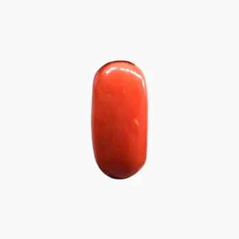 Energized Coral Stone (सिद्ध मूंगा रत्न)