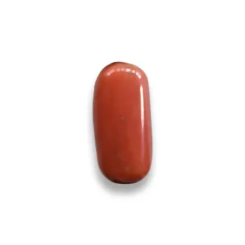 Energized Coral Stone (सिद्ध मूंगा रत्न)