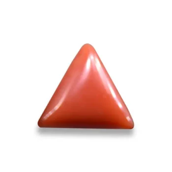 Energized Triangle Coral Gemstone (सिद्ध त्रिकोण मूंगा रत्न)