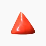 Italian Red Coral Gemstone (लाल मूंगा रत्न)