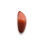 Italian Red Coral Gemstone (लाल मूंगा रत्न)