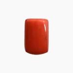 Natural Coral Gemstone (मूंगा रत्न)