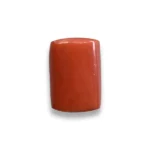 Natural Coral Gemstone (मूंगा रत्न)