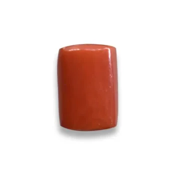 Natural Coral Gemstone (मूंगा रत्न)