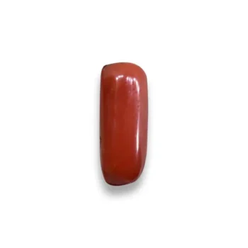 Siddh Red Coral Gemstone (सिद्ध लाल मूंगा रत्न)