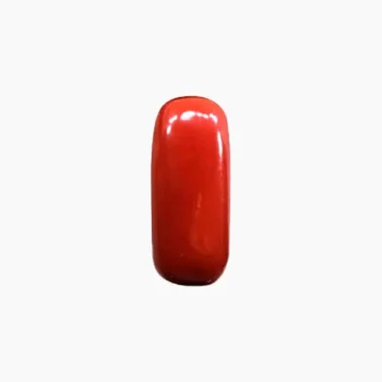Siddh Red Coral Gemstone (सिद्ध लाल मूंगा रत्न)