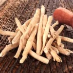 Ashwagandha Herbs (अश्वगंधा)