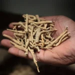 Ashwagandha Herbs (अश्वगंधा)