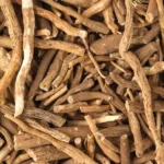 Ashwagandha Herbs (अश्वगंधा)