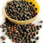 Black Gunja Seeds (काला गुंजा)