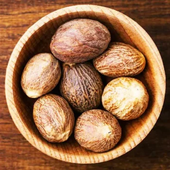 Jaiphal Herb (जायफल)