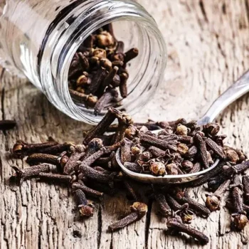 Laung Herb (लौंग)