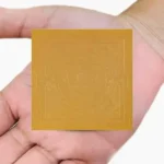 Matsya Yantra, Shree Matsya Puja Yantra