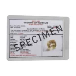 Online Lajward Gemstone (लाजवर्द रत्न)