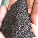 Tulsi Seeds (तुलसी के बीज)