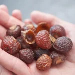 Reetha Herb (रीठा)